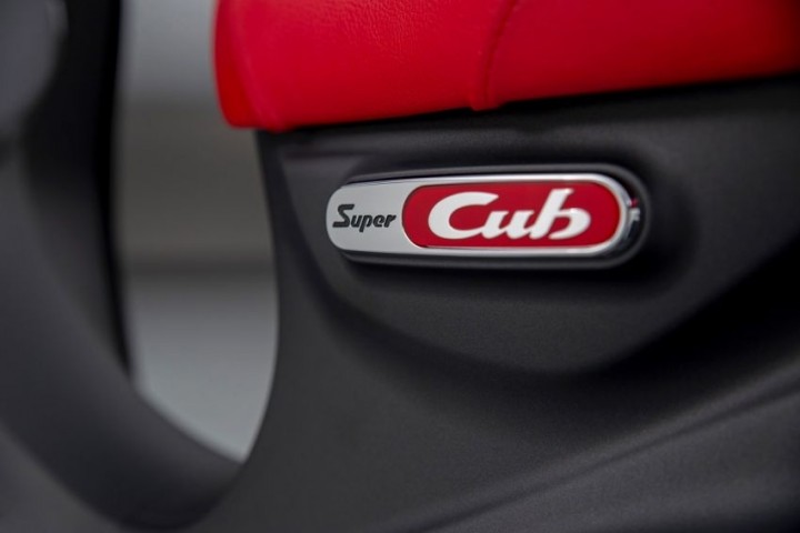 cub 5